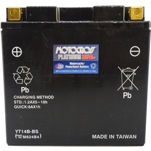 PowerSports Battery