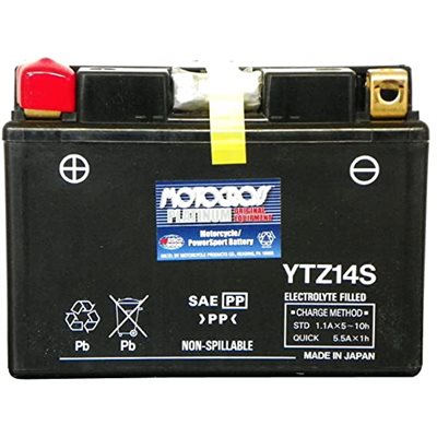 PowerSports Battery